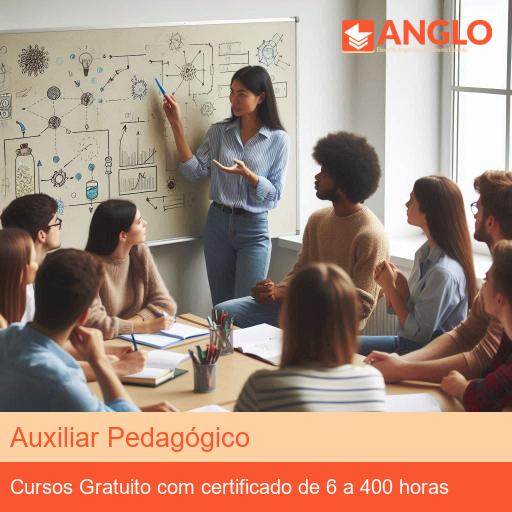 Auxiliar Pedagógico